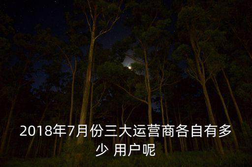 2018年7月份三大運(yùn)營商各自有多少 用戶呢