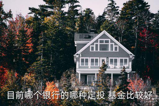 目前哪個(gè)銀行的哪種定投 基金比較好