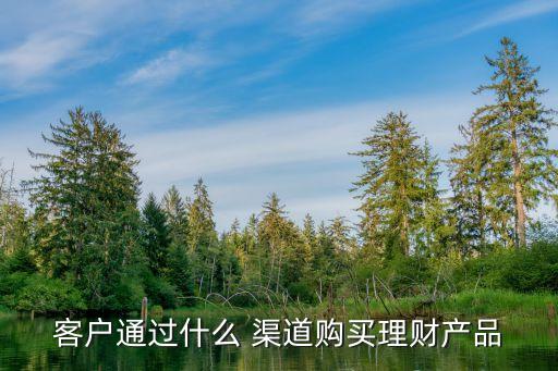 客戶通過什么 渠道購買理財(cái)產(chǎn)品