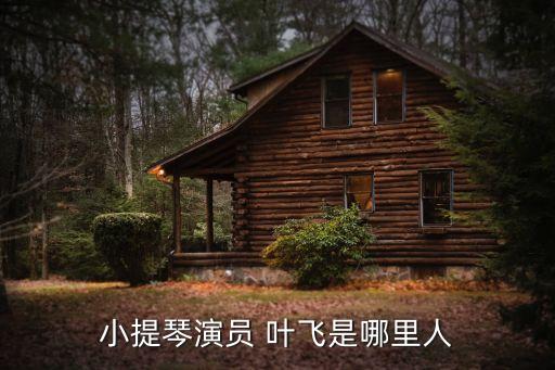 小提琴演員 葉飛是哪里人