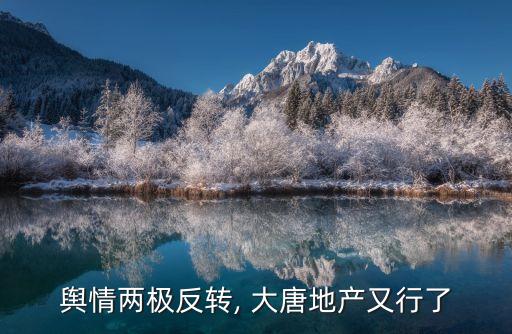 輿情兩極反轉, 大唐地產又行了