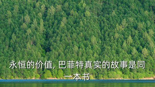 永恒的價值, 巴菲特真實的故事是同一本書
