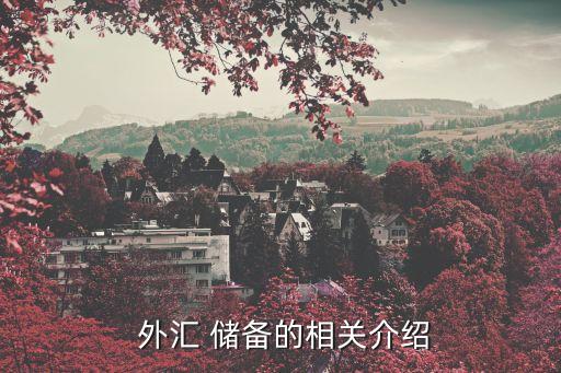 2000年中國外匯儲備,1999年中國外匯儲備