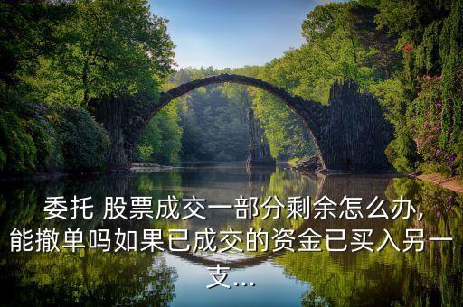  委托 股票成交一部分剩余怎么辦,能撤單嗎如果已成交的資金已買入另一支...