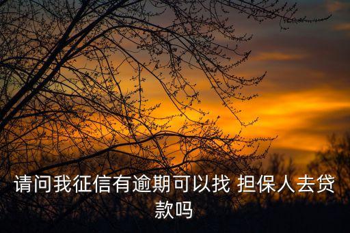 請問我征信有逾期可以找 擔保人去貸款嗎