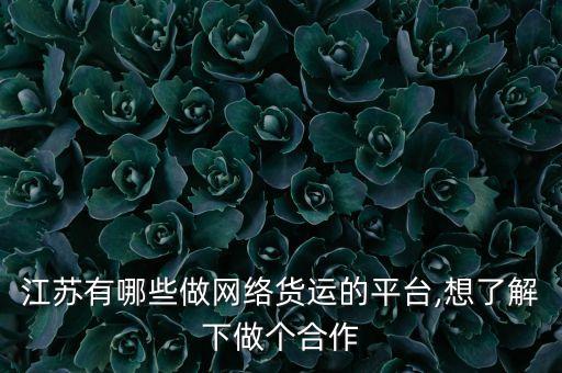 江蘇有哪些做網(wǎng)絡貨運的平臺,想了解下做個合作