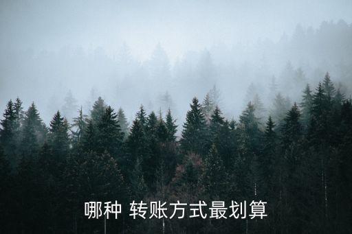手機銀行轉(zhuǎn)賬哪家最便宜