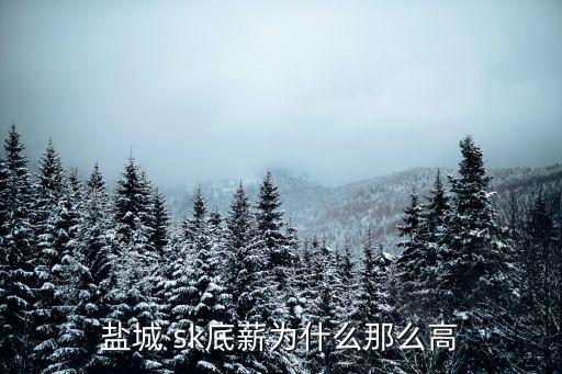 sk集團怎樣,韓國sk集團創(chuàng)始人