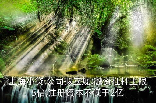上海小貸 公司擬立規(guī):融資杠桿上限5倍,注冊資本不低于2億
