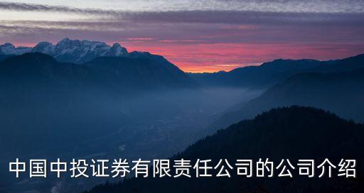 中國(guó)中投證券有限責(zé)任公司的公司介紹