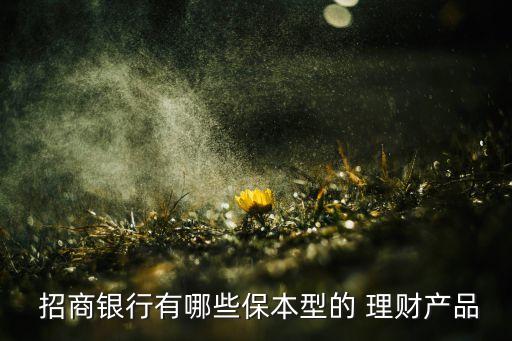  招商銀行有哪些保本型的 理財產(chǎn)品