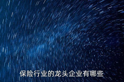 保險行業(yè)的龍頭企業(yè)有哪些
