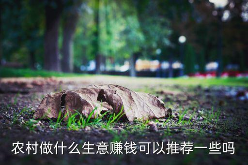 農村做什么生意賺錢可以推薦一些嗎
