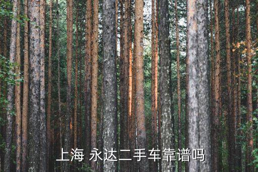  上海 永達(dá)二手車靠譜嗎