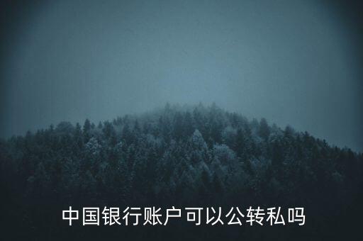  中國銀行賬戶可以公轉私嗎