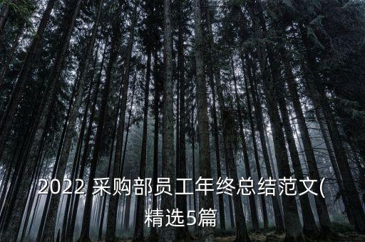 2022 采購部員工年終總結范文(精選5篇