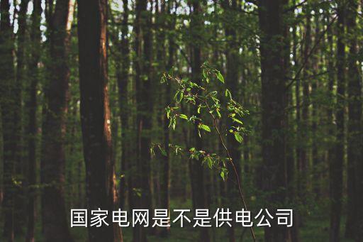 國(guó)家電網(wǎng)是不是供電公司