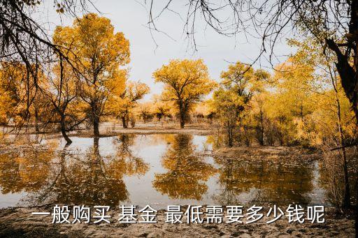 一般購(gòu)買(mǎi) 基金 最低需要多少錢(qián)呢