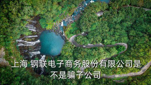  上海 鋼聯(lián)電子商務股份有限公司是不是騙子公司