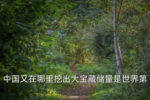 中國又在哪里挖出大寶藏儲(chǔ)量是世界第一