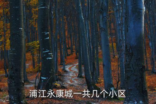 浦江永康城一共幾個小區(qū)