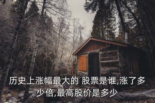 歷史上漲幅最大的 股票是誰,漲了多少倍,最高股價(jià)是多少