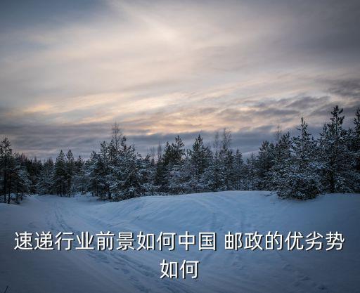 中國(guó)郵政的戰(zhàn)略選擇