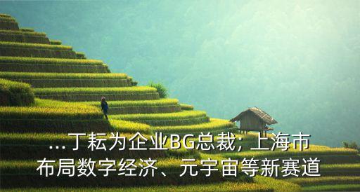 ...丁耘為企業(yè)BG總裁; 上海市布局數(shù)字經濟、元宇宙等新賽道