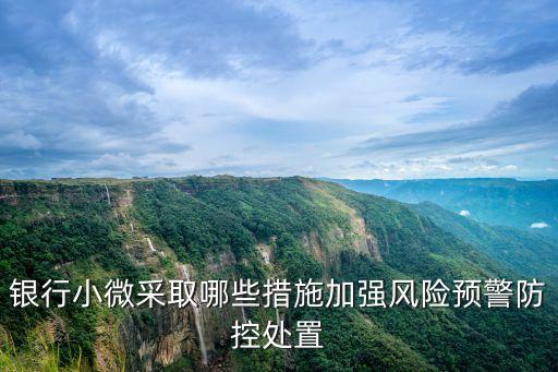 銀行小微采取哪些措施加強(qiáng)風(fēng)險(xiǎn)預(yù)警防控處置