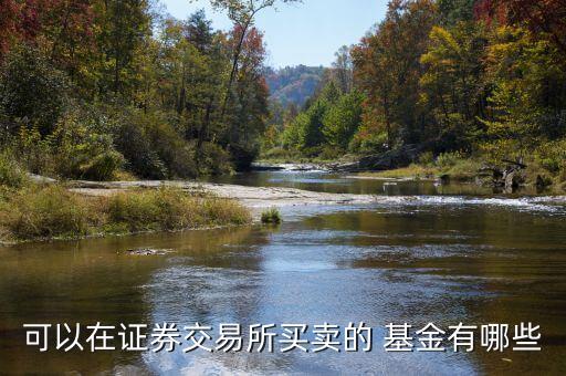 二級(jí)市場(chǎng)基金有哪些,基金的二級(jí)市場(chǎng)什么意思