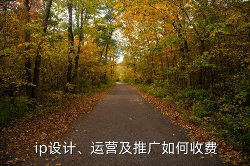  ip設(shè)計(jì)、運(yùn)營(yíng)及推廣如何收費(fèi)