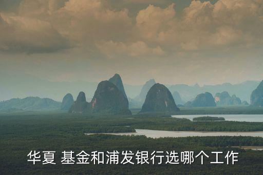  華夏 基金和浦發(fā)銀行選哪個(gè)工作