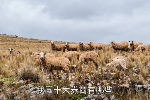 我國十大券商有哪些