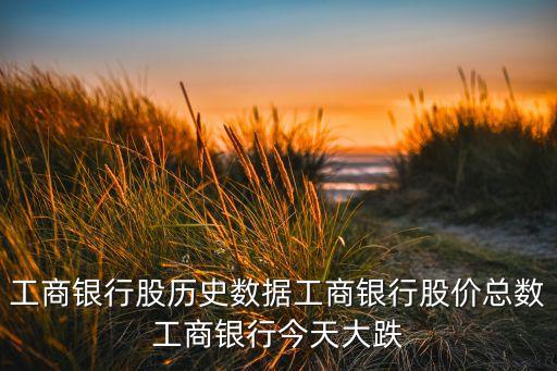 工商銀行股歷史數據工商銀行股價總數工商銀行今天大跌