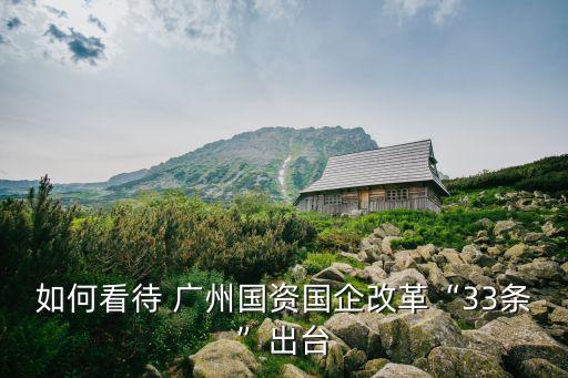 如何看待 廣州國(guó)資國(guó)企改革“33條”出臺(tái)