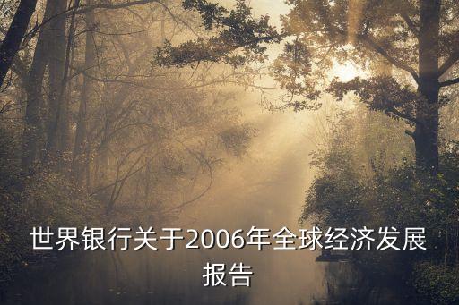 世界銀行關(guān)于2006年全球經(jīng)濟(jì)發(fā)展報(bào)告