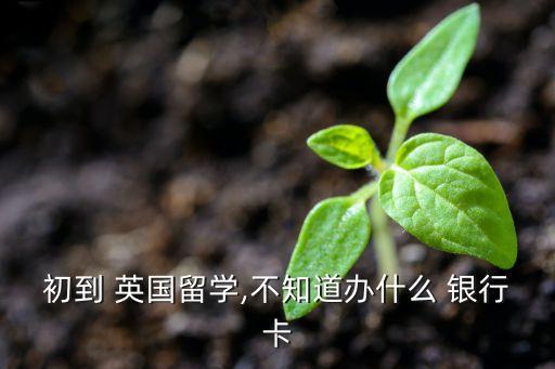 初到 英國留學(xué),不知道辦什么 銀行卡