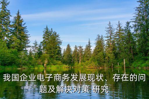 我國企業(yè)電子商務(wù)發(fā)展現(xiàn)狀、存在的問題及解決對(duì)策 研究