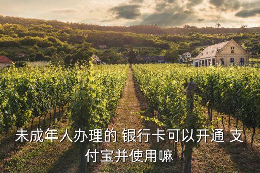 未成年人辦理的 銀行卡可以開(kāi)通 支付寶并使用嘛