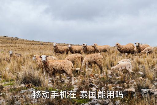 移動(dòng)手機(jī)在 泰國(guó)能用嗎