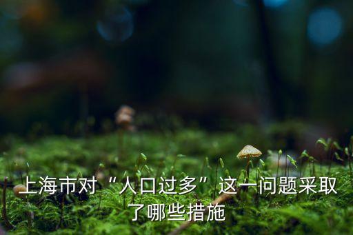2013年上海人口老齡化,上海人口老齡化嚴重的原因