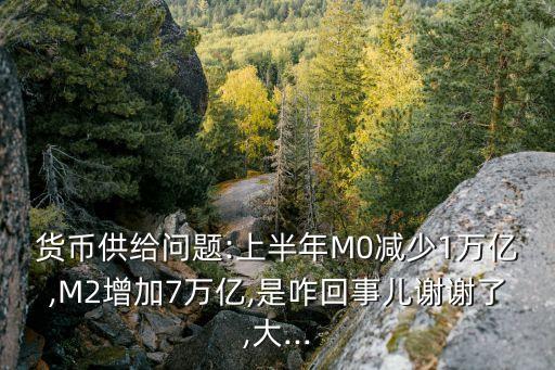 貨幣供給問(wèn)題:上半年M0減少1萬(wàn)億,M2增加7萬(wàn)億,是咋回事兒謝謝了,大...
