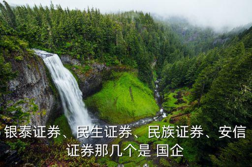 銀泰證券、民生證券、民族證券、安信證券那幾個(gè)是 國(guó)企