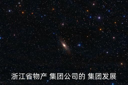 浙江省物產 集團公司的 集團發(fā)展