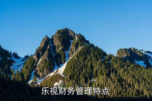 樂(lè)視網(wǎng)股票分析報(bào)告,貴州茅臺(tái)股票分析報(bào)告