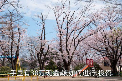 手里有30萬(wàn)現(xiàn)金,該如何進(jìn)行 投資