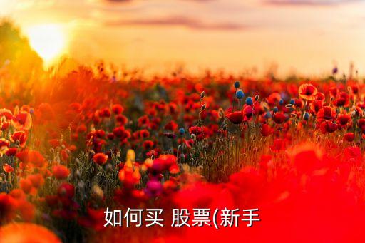 如何買(mǎi) 股票(新手