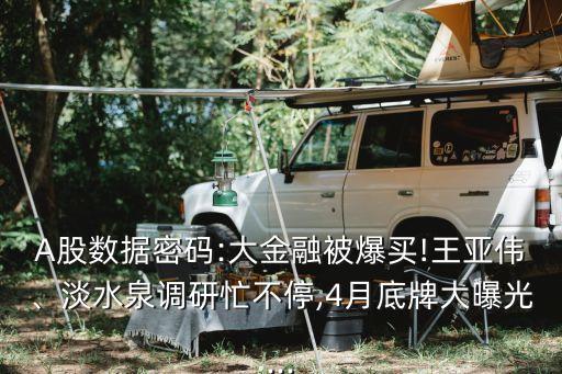 A股數(shù)據(jù)密碼:大金融被爆買!王亞偉、淡水泉調(diào)研忙不停,4月底牌大曝光...
