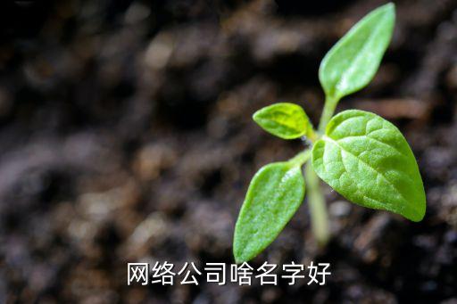 網絡公司啥名字好