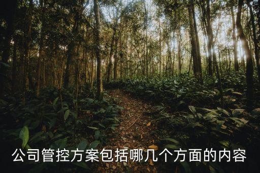 公司管控方案包括哪幾個方面的內(nèi)容